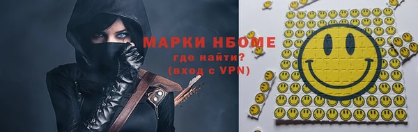 шишки Бородино