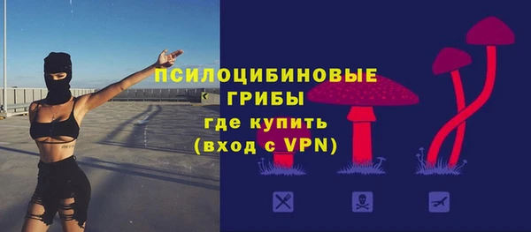 шишки Бородино
