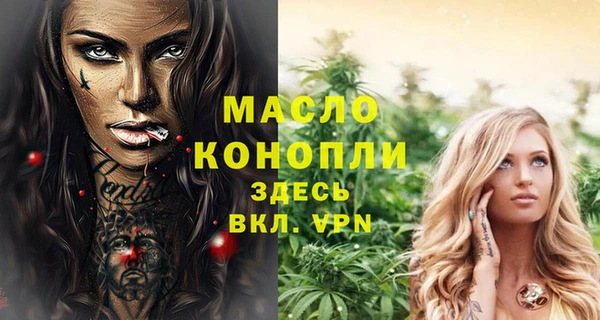 шишки Бородино