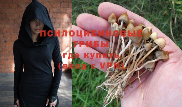 прущие крисы Бронницы