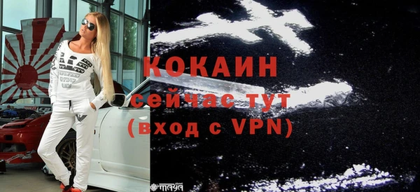 шишки Бородино