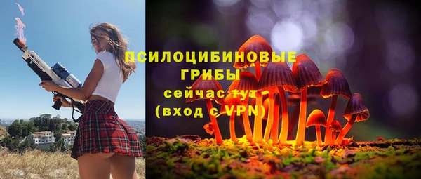 а пвп мука Богородицк