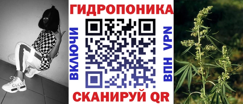 ссылка на мегу как войти  Катайск  Каннабис план 